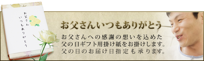 父の日の日時指定、のし紙無料です