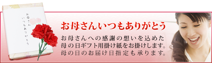 母の日ギフト和菓子詰合せ満天星