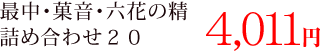 最中・菓音・六花の精詰め合わせ20