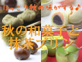 秋の味覚・美味しい和菓子と抹茶プリンセット
