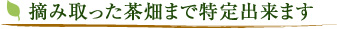 摘み取った茶畑まで特定出来ます